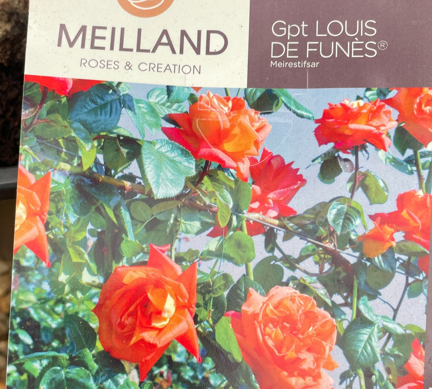 Louis de Funes Meirestifsar