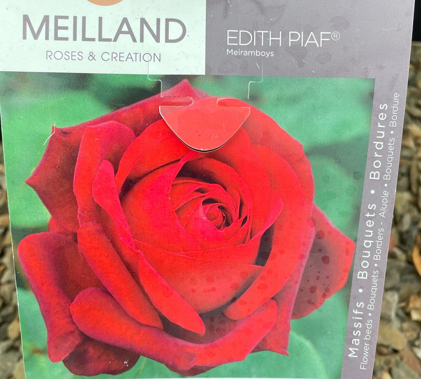 Edith Piaf Meiramboys