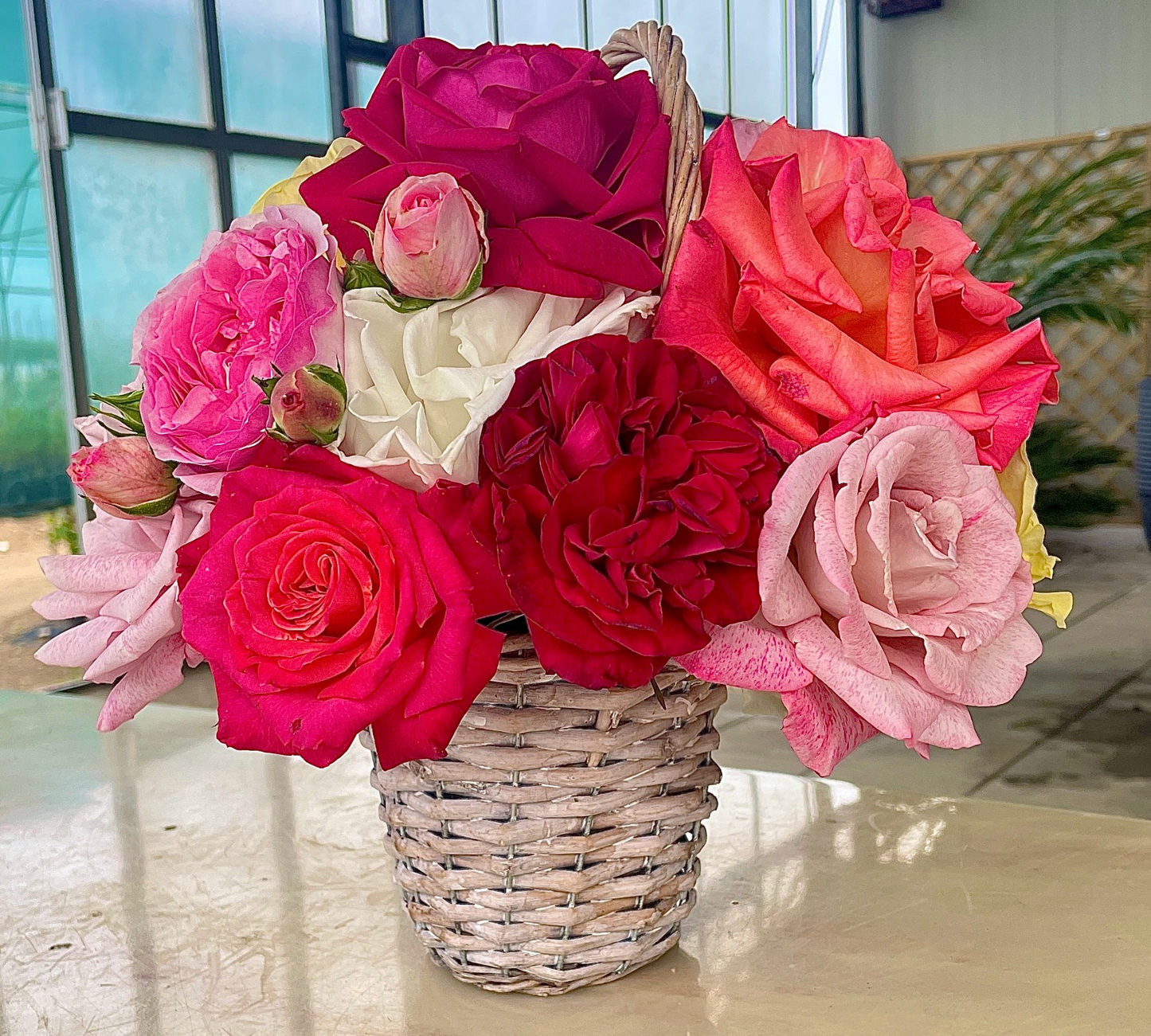 Rose Recise dal Vivaio – Scelte a Mano, Tagliate al Momento