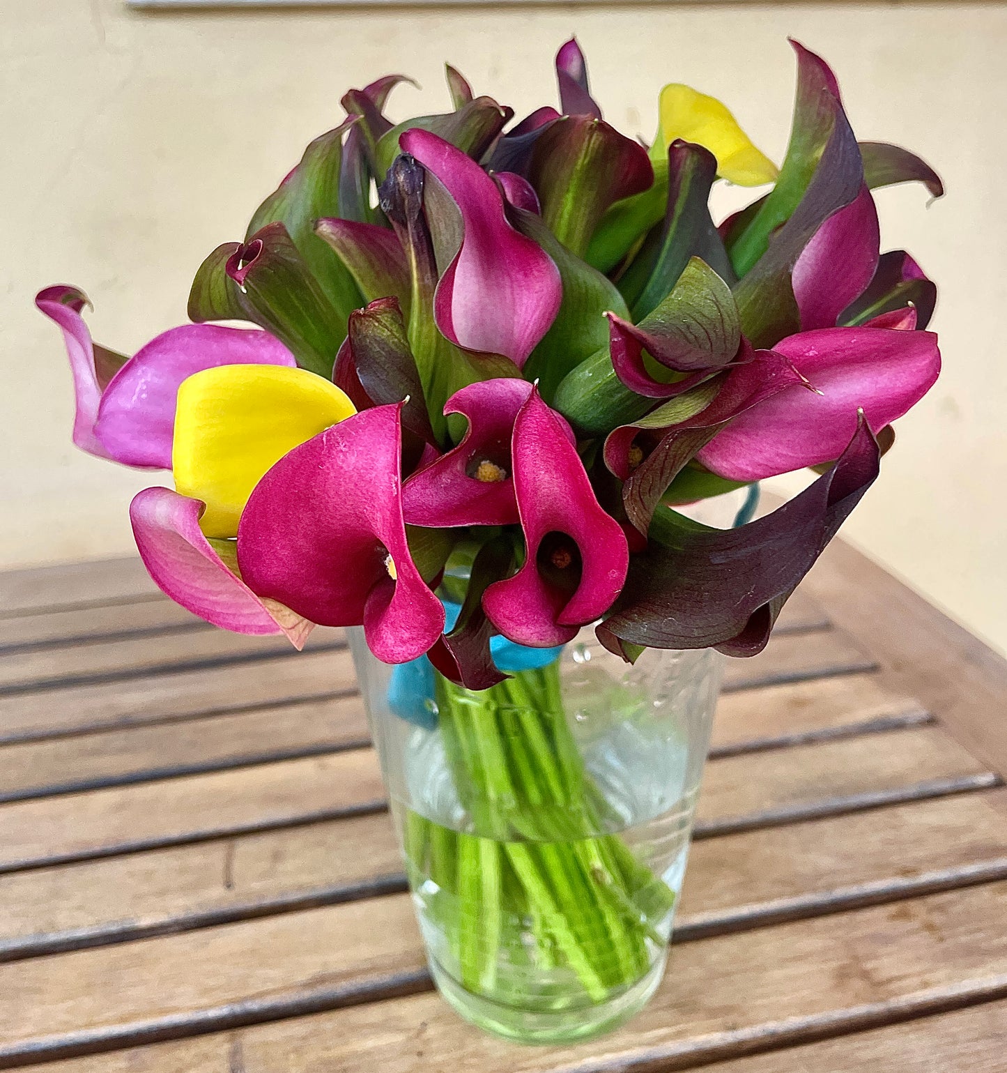 Calla Nana  – Vaso 14 cm