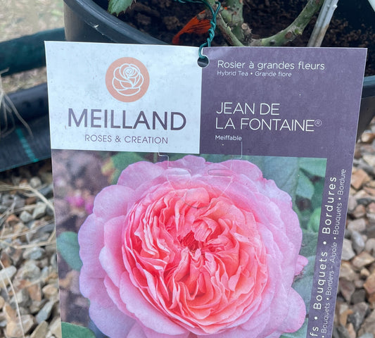 Jean de la Fontaine Meiffable