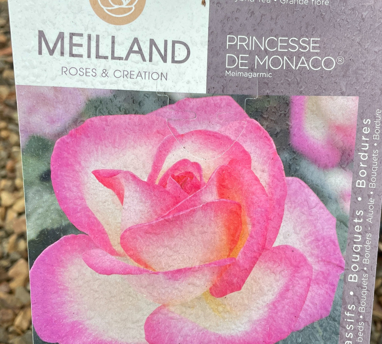 Princess de Monaco Meimagarmic