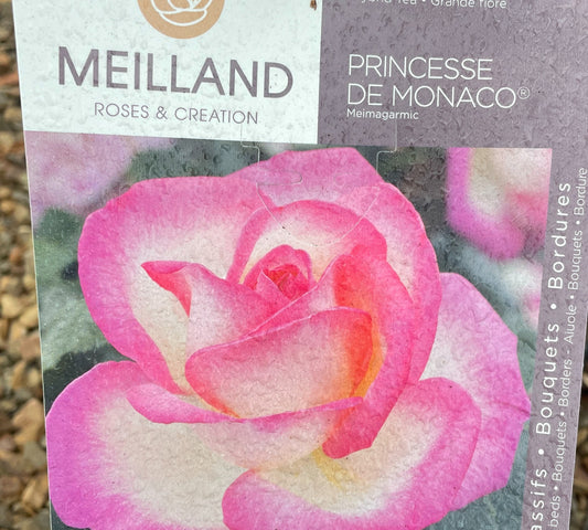 Princess de Monaco Meimagarmic